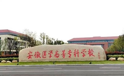安医专1