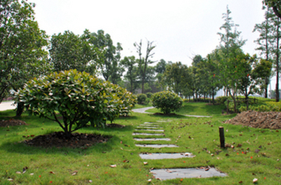 安徽城市管理职业学院-4